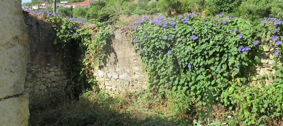 4 bedrooms House in Tomar, Portugal No. 22143 14