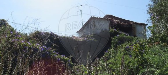 4 bedrooms House in Tomar, Portugal No. 22143 11