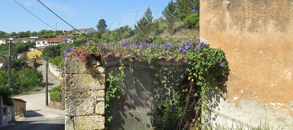 4 bedrooms House in Tomar, Portugal No. 22143 3