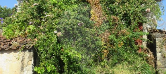 4 bedrooms House in Tomar, Portugal No. 22143 6