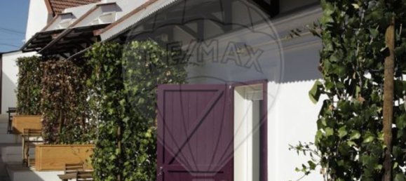 238m² Building in Grandola, Portugal No. 80443 6