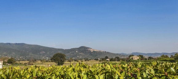 Дом с 13 комнатами в Кортона, Италия № 57185 20