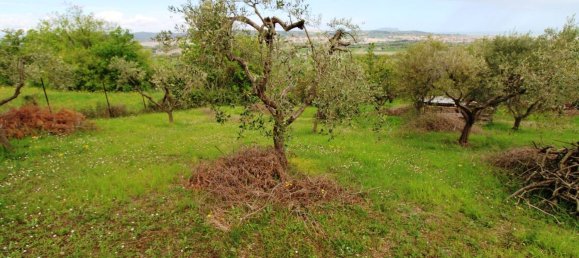 Terrain à Sant'Elpidio a Mare, Italy 850m² No. 352626 7