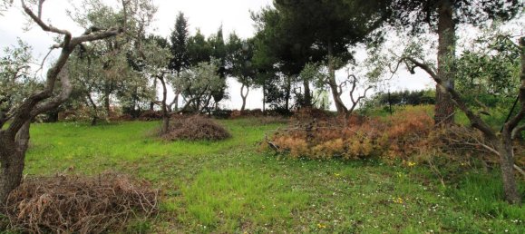 Terrain à Sant'Elpidio a Mare, Italy 850m² No. 352626 11