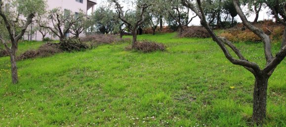 Terrain à Sant'Elpidio a Mare, Italy 850m² No. 352626 18