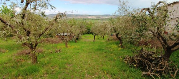 Terrain à Sant'Elpidio a Mare, Italy 850m² No. 352626 4