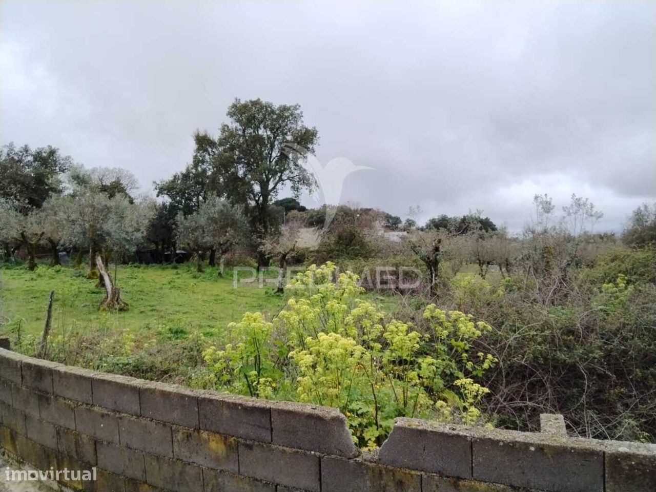 7250m² Land in Portalegre, Portugal No. 11484