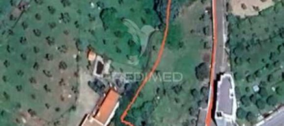 7250m² Land in Portalegre, Portugal No. 11484 3