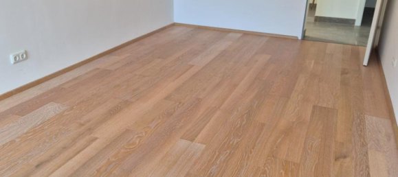 3 rooms Apartment in Traunkirchen, Austria No. 24917 9