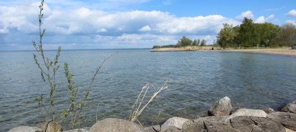 4-Zimmer Haus in Mecklenburgische Seenplatte, Germany, Nr. 125422 11