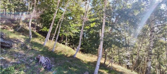 Casa de 2 divisões em Quincinetto, Italy N.º 51564 23