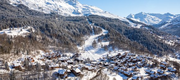 7 غرف نوم عقار تجاري في Les Allues, France رقم 921 5