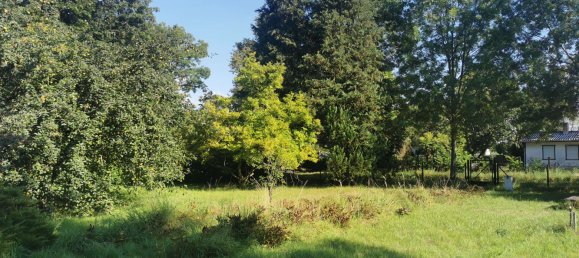  Land in Blankenburg, Germany No. 295885 3