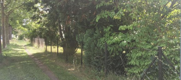  Land in Blankenburg, Germany No. 295885 4