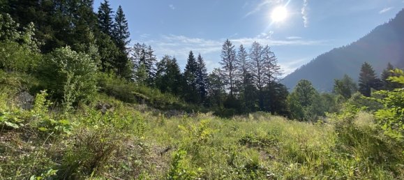 Land in Miesbach, Germany No. 137870 2