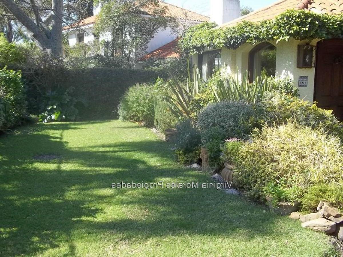 3 Schlafzimmer Haus in Montevideo, Uruguay, Nr. 1625