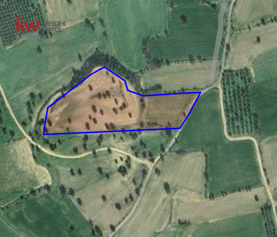  قطعة أرض في Anglisides, Cyprus 14047متر مربع رقم 26905