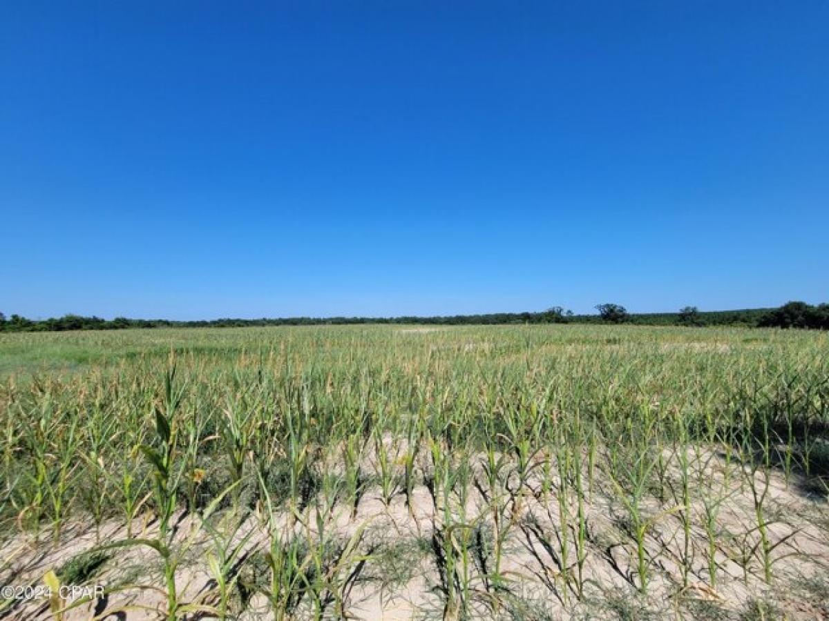 Grundstück in Westville, USA, Nr. 552266