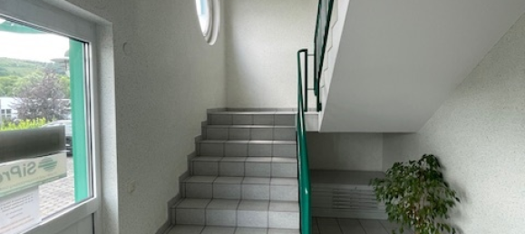 1087m² Building in Siegen-Wittgenstein, Germany No. 258570 14