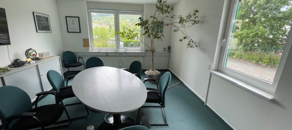 1087m² Building in Siegen-Wittgenstein, Germany No. 258570 11