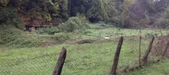 Terrain à Cangas de Onis, Spain No. 142292 10