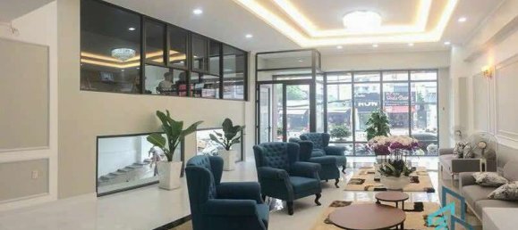 625m² House in District 7, Vietnam No. 13062 3