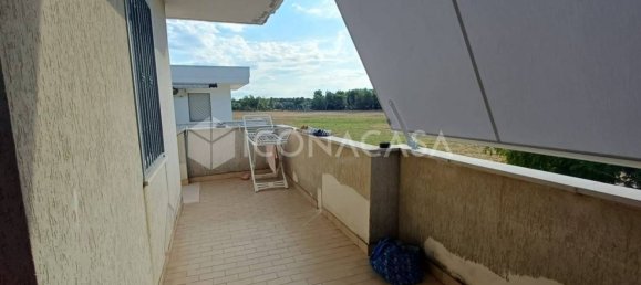 3-Zimmer Haus in Lesina, Italy, Nr. 270379 4