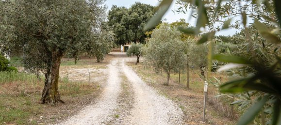 4 bedrooms Villa in Tomar, Portugal No. 142939 30