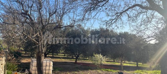 10000m² Land in Monopoli, Italy No. 100536 8