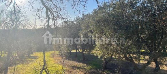 10000m² Land in Monopoli, Italy No. 100536 12