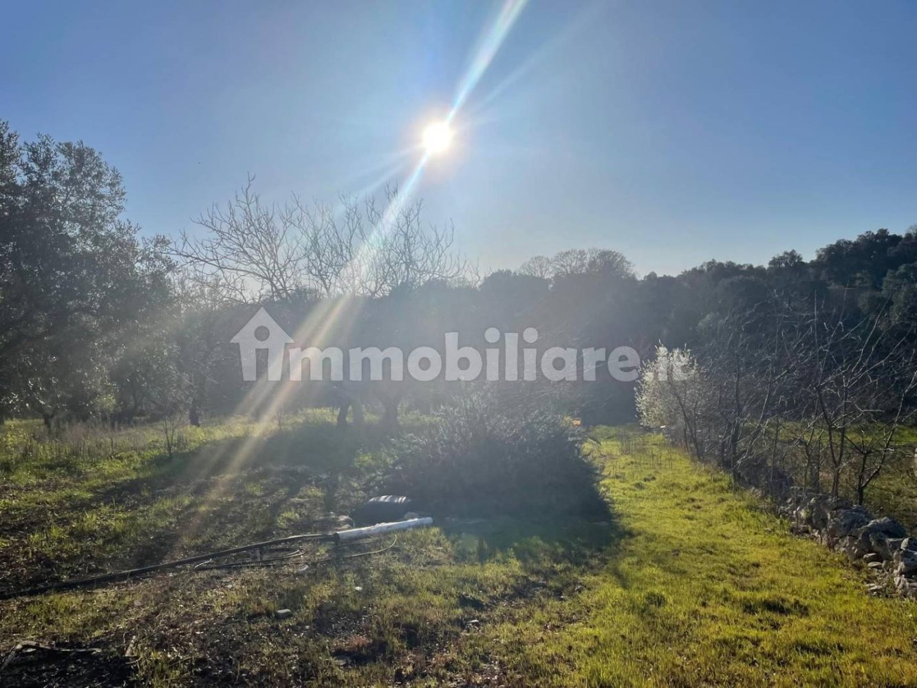 10000m² Land in Monopoli, Italy No. 100536