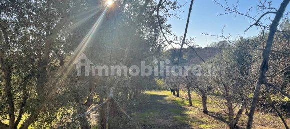 10000m² Land in Monopoli, Italy No. 100536 15