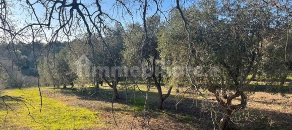 10000m² Land in Monopoli, Italy No. 100536 11