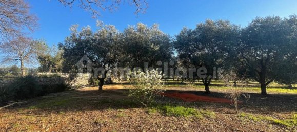 10000m² Land in Monopoli, Italy No. 100536 4