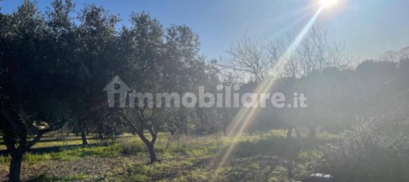 10000m² Land in Monopoli, Italy No. 100536 5