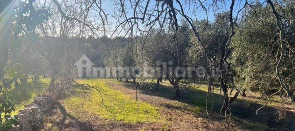 10000m² Land in Monopoli, Italy No. 100536 9