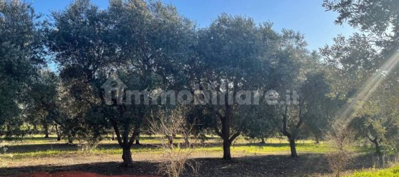 10000m² Land in Monopoli, Italy No. 100536 3