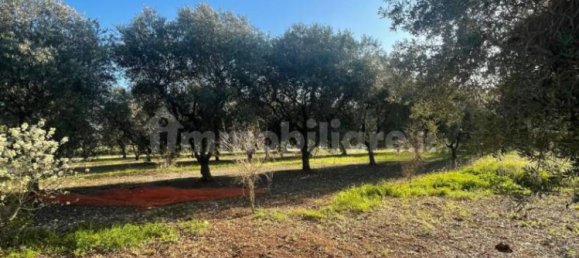 10000m² Land in Monopoli, Italy No. 100536 2