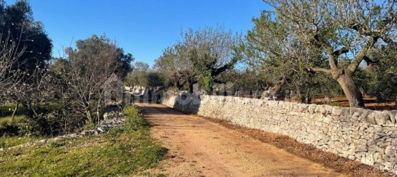 10000m² Land in Monopoli, Italy No. 100536 7