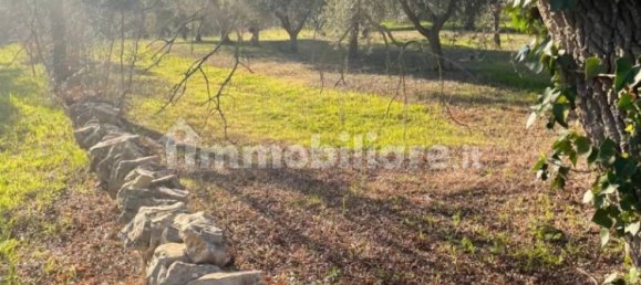 10000m² Land in Monopoli, Italy No. 100536 13