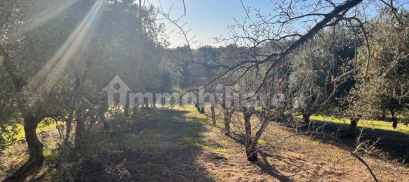 10000m² Land in Monopoli, Italy No. 100536 14