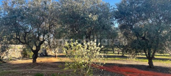 10000m² Land in Monopoli, Italy No. 100536 6