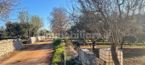 10000m² Land in Monopoli, Italy No. 100536 10
