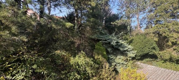  Land in Tulbing, Austria No. 134655 6