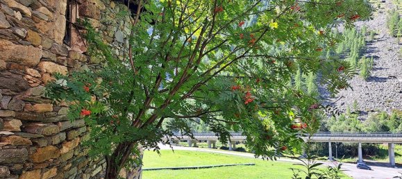 6 bedrooms House in Saint Rhemy en Bosses, Italy No. 365047 29