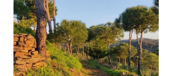 2 chambres Maison à Tavira, Portugal No. 57296 33
