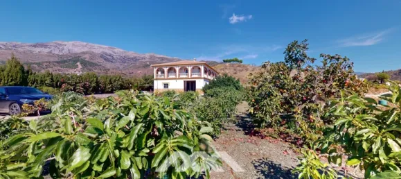 5 bedrooms House in Sedella, Spain No. 43049 2