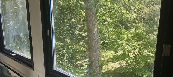 2 bedrooms House in Rhein-Neckar-Kreis, Germany No. 224508 5