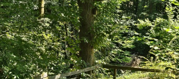 2 bedrooms House in Rhein-Neckar-Kreis, Germany No. 224508 23