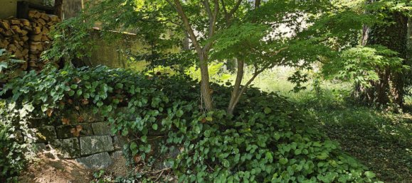 2 bedrooms House in Rhein-Neckar-Kreis, Germany No. 224508 24